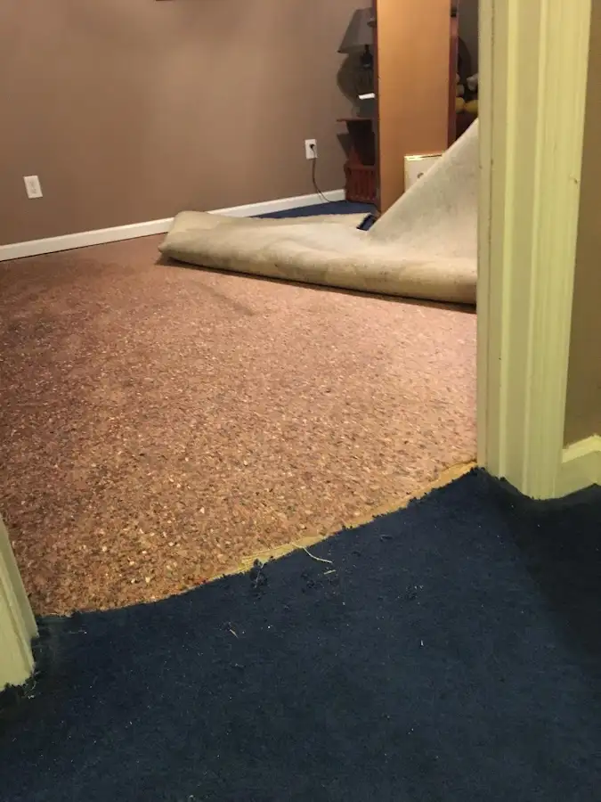Carpet pad removal revealing water damage during Water Mitigation Services in Avon
